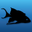 Dave's Rare Aquarium Fish logo